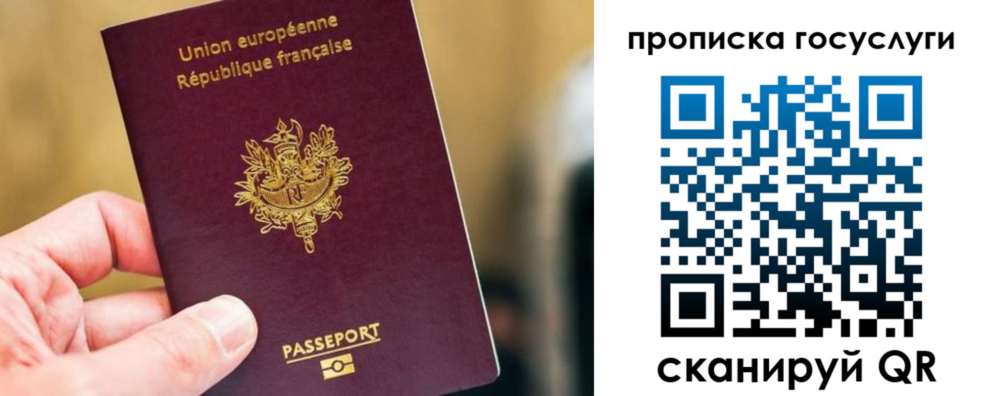 временная регистрация поиск в Ингушетии